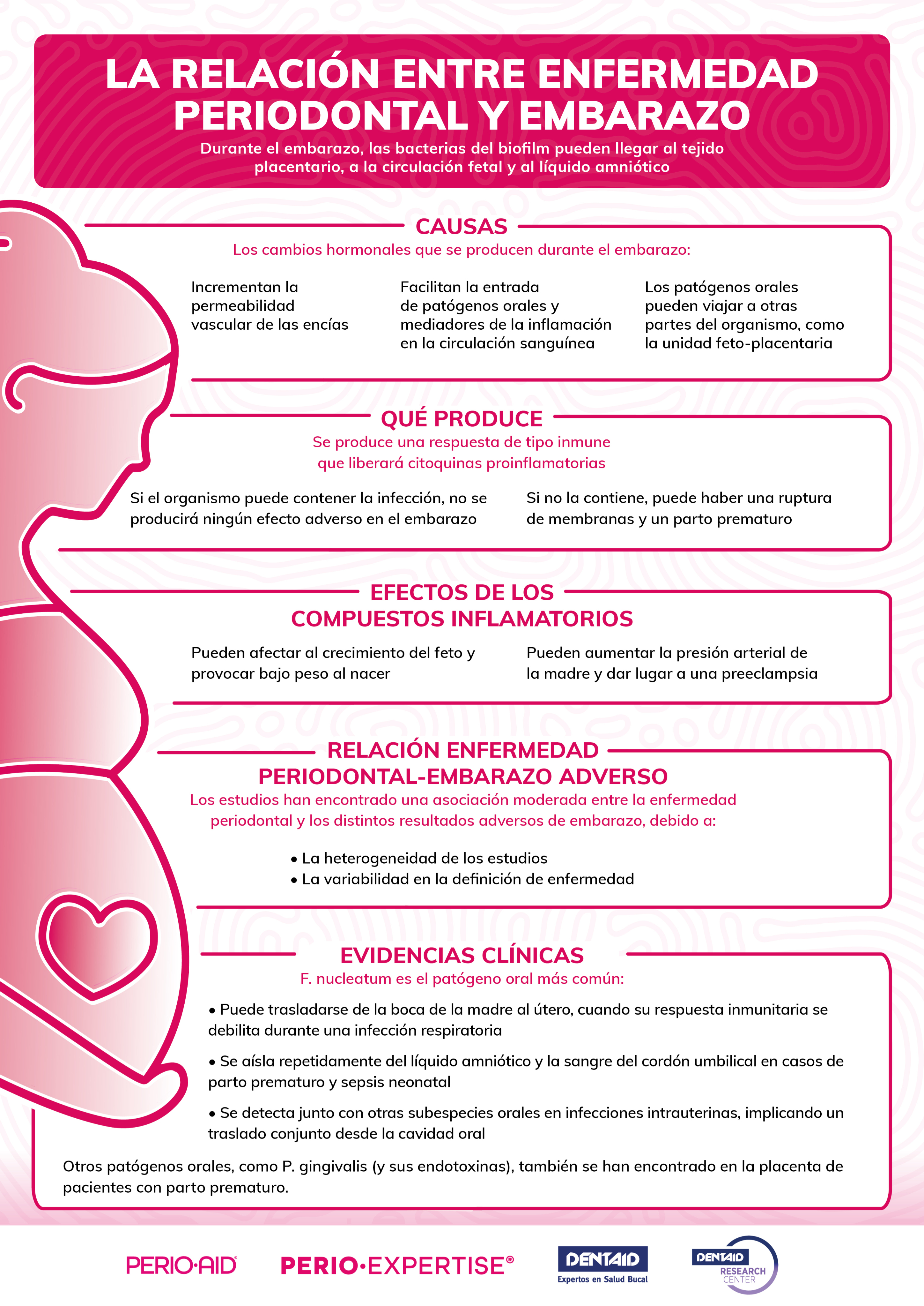  La relación entre enfermedad periodontal y embarazo